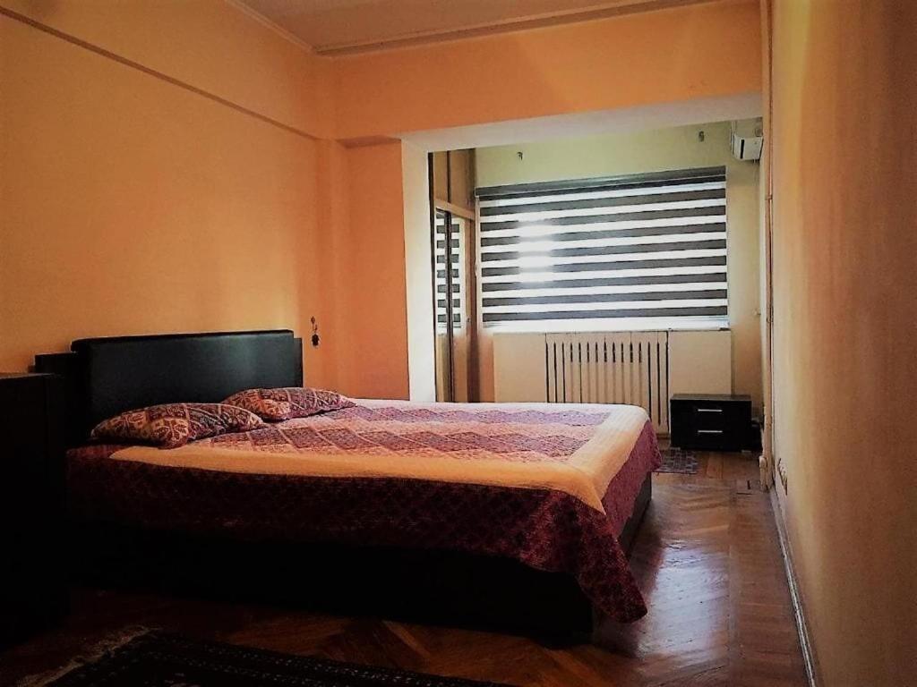 Spacious And Cozy Ташкент Экстерьер фото